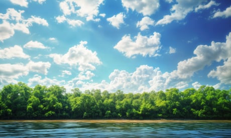 Mississippi river backdrop for LEGO® River Steamboat (21356) Display Case
