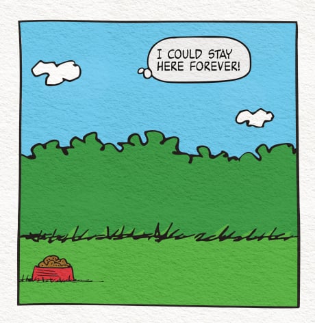 Stay forever backdrop for LEGO® Peanuts: Snoopy's Doghouse (21368) Display Case