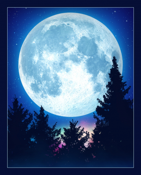 Moon backdrop for LEGO® E.T. the Extra-Terrestrial (21370) Display Case
