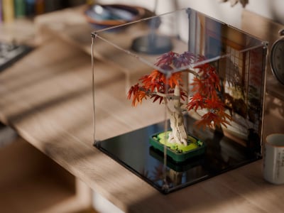 LEGO® Japanese Red Maple Bonsai Tree (10348) Display Case