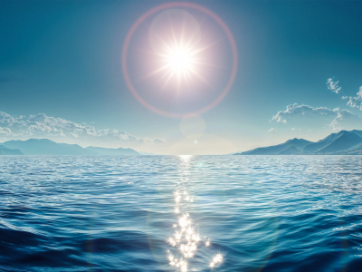 LEGO® Floating Sea Otters (21366) Display Case