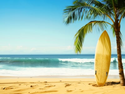 LEGO® Jeep Wrangler Rubicon (42227) Display Case