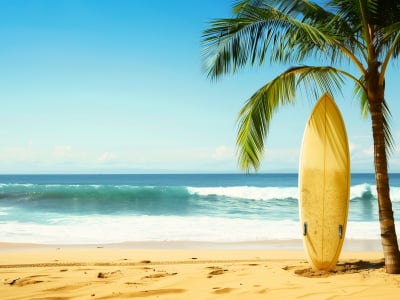 LEGO® Jeep Wrangler Rubicon (42227) Display Case