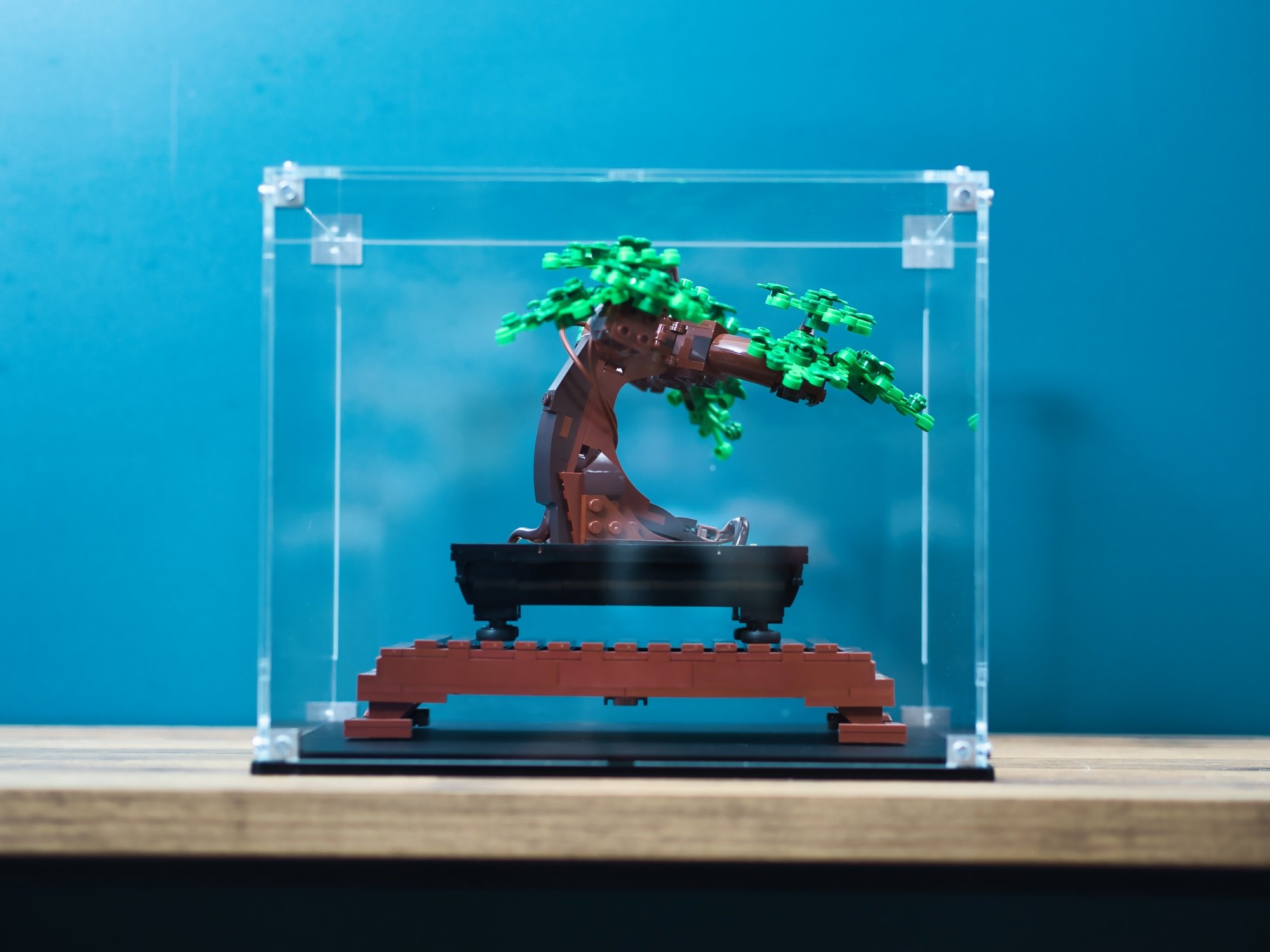 LEGO® Bonsai Tree (10281) Display Case