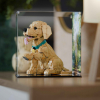LEGO® Golden Retriever Puppy (11384) Display Case