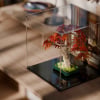 LEGO® Japanese Red Maple Bonsai Tree (10348) Display Case