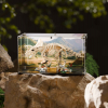 LEGO® Dinosaur Fossils: Triceratops (77985) Display Case