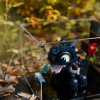 LEGO® How to Train Your Dragon: Toothless (10375) Display Case