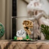 LEGO® Dinosaur Fossils: T. rex Skull (76964) Display Case