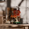 LEGO® Japanese Red Maple Bonsai Tree (10348) Display Case