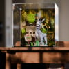 LEGO® Shrek, Donkey & Puss in Boots (72423) Display Case