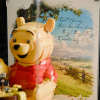 LEGO® Winnie the Pooh (43300) Display Case