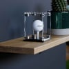 Golf Ball Display Case