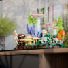 LEGO® Woodland Mushrooms (11505) Display Case