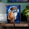 LEGO® E.T. the Extra-Terrestrial (21370) Display Case