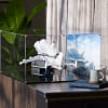 LEGO® Shuttle Carrier Aircraft (10360) Display Case