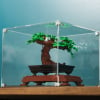 LEGO® Bonsai Tree (10281) Display Case