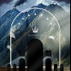 LEGO® The Lord of the Rings: Minas Tirith (11377) Display Case