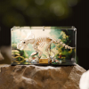 LEGO® Dinosaur Fossils: Triceratops (77985) Display Case