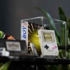 LEGO® Game Boy™ (72046) Display Case