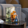 LEGO® Wicket the Ewok™ (75430) Display Case