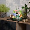 LEGO® Woodland Mushrooms (11505) Display Case