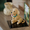 LEGO® Golden Retriever Puppy (11384) Display Case