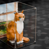LEGO® Orange Cat (21376) Display Case