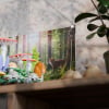 LEGO® Woodland Mushrooms (11505) Display Case