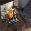 LEGO® Wicket the Ewok™ (75430) Display Case