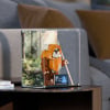 LEGO® Wicket the Ewok™ (75430) Display Case