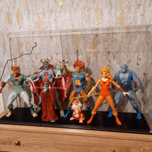 Review image from customer of the Custom Display Case - Matt Black Base