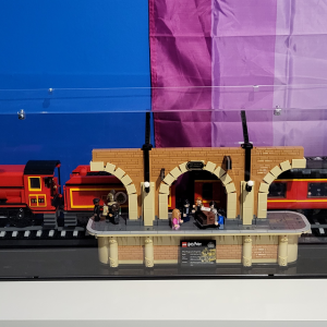 Review image from customer of the LEGO® Harry Potter: Hogwarts Express™ Collectors' Edition (76405) Display Case