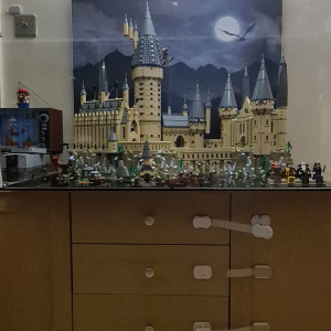 Review image from customer of the LEGO® Harry Potter: Hogwarts Castle (71043) Display Case