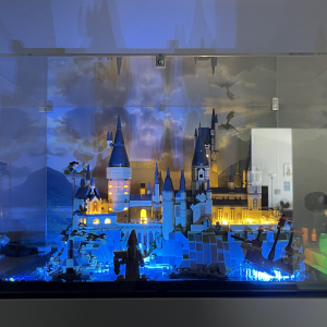 Review image from customer of the LEGO® Hogwarts™ Castle and Grounds (76419) Display Case